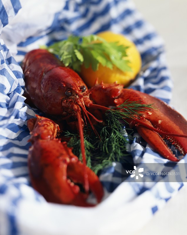 龙虾图片素材