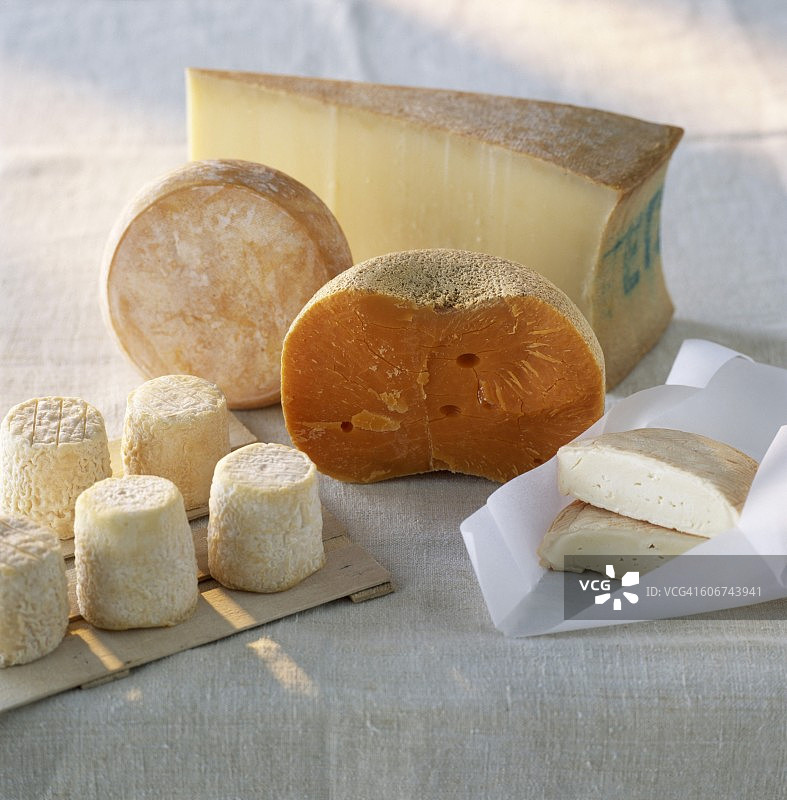 奶酪精选图片素材