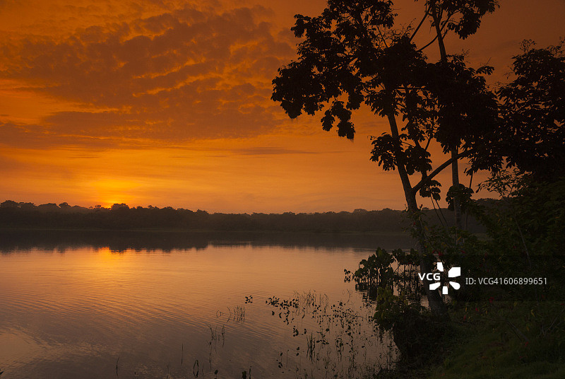 亚马逊雨林日落图片素材