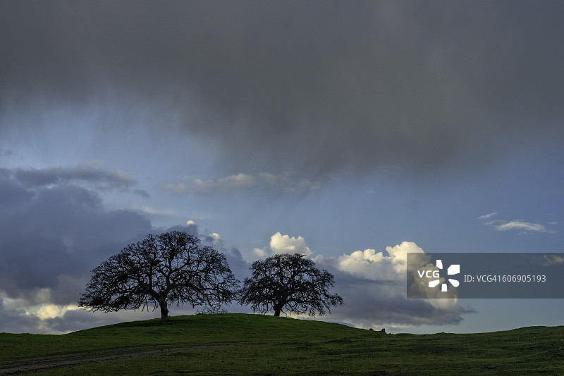 幡状云与橡树图片素材