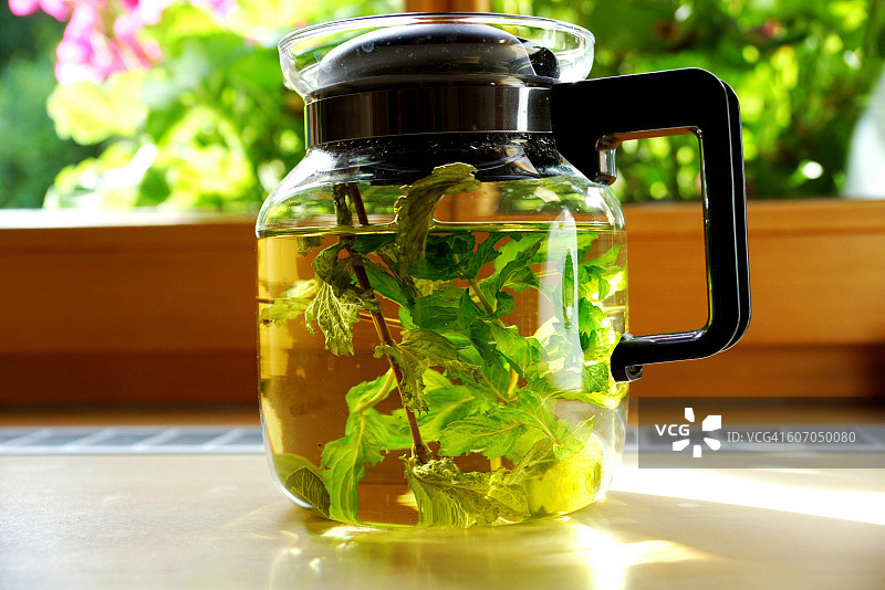 新鲜薄荷茶图片素材