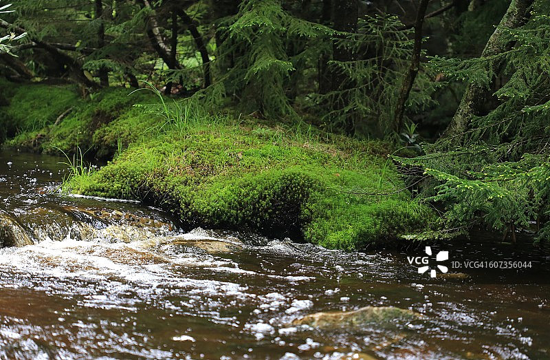 从山泉奔流的水，石煤河，多莉草皮荒野，西弗吉尼亚，美国图片素材