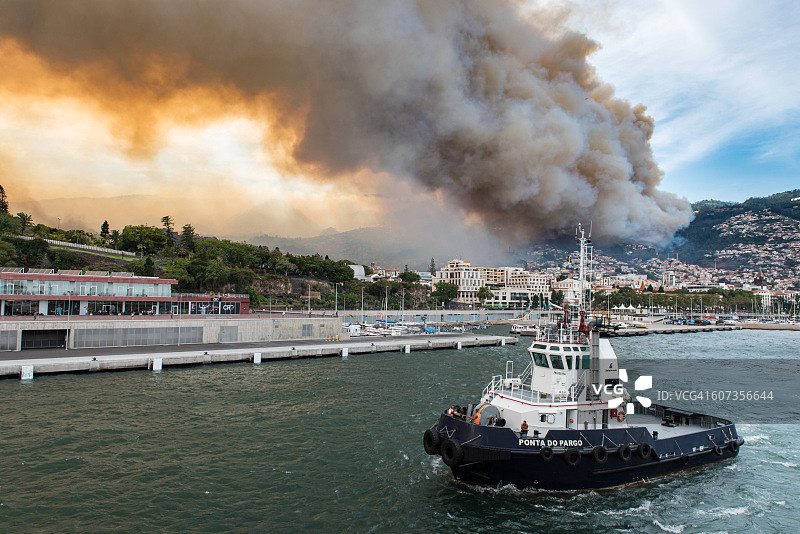马德拉岛的野火，2016年8月图片素材