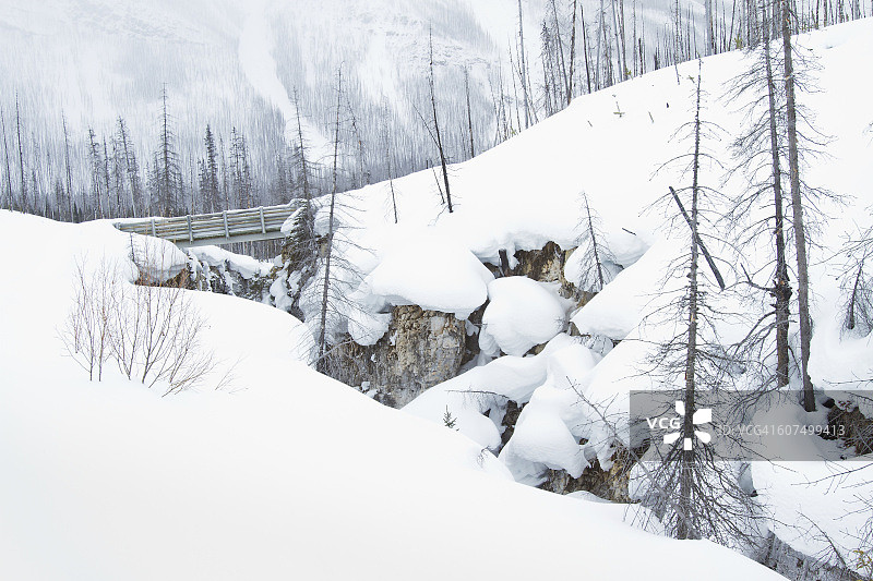 大理石峡谷的桥梁图片素材