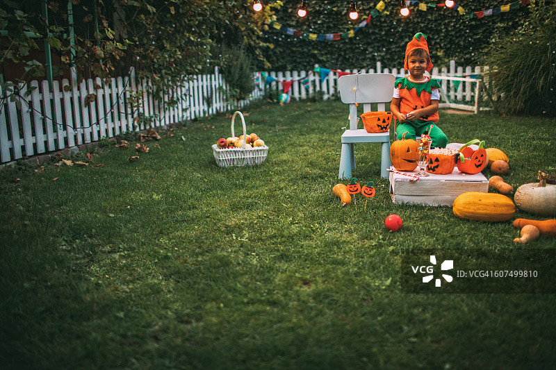 我的后院的万圣节图片素材