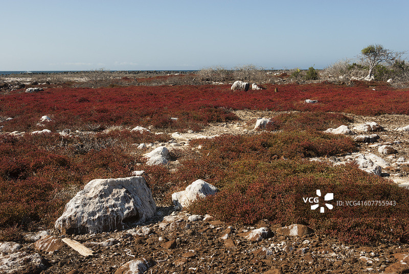 西摩岛风光图片素材