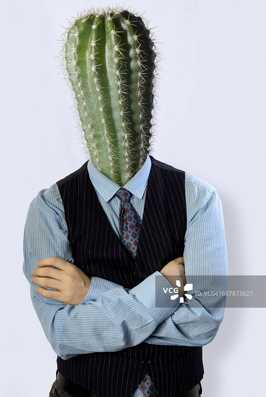 头顶仙人掌的商人图片素材