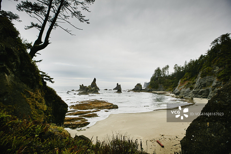 华盛顿海岸的石狮海滩图片素材