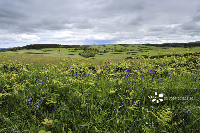 夏季蒂恩河谷阿什顿别墅风光图片素材