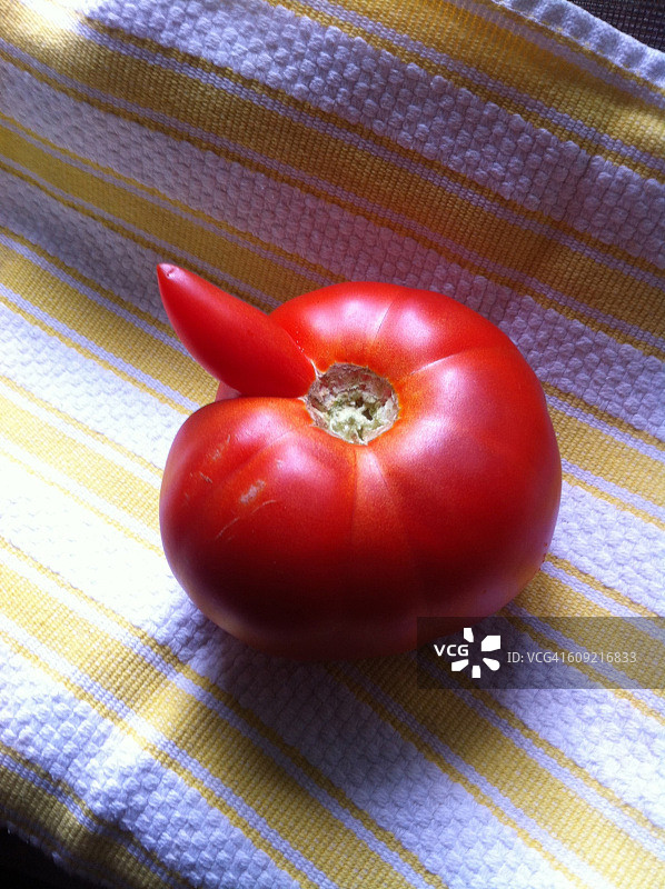 丑陋也是一种美图片素材