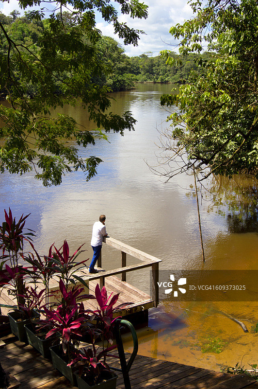 丛林河流图片素材
