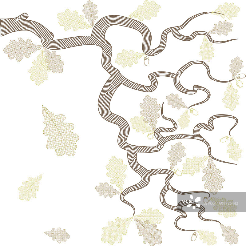 秋季橡树枝图片素材