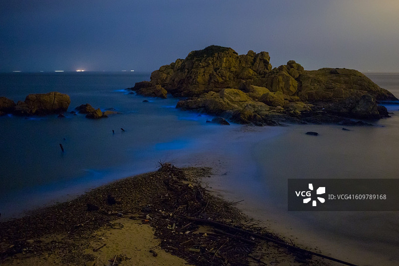 蓝眼泪生物发光藻图片素材