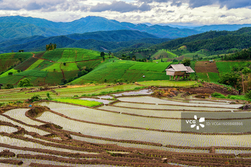 泰国清迈雾气笼罩的稻田和山间小屋的清晨美景图片素材