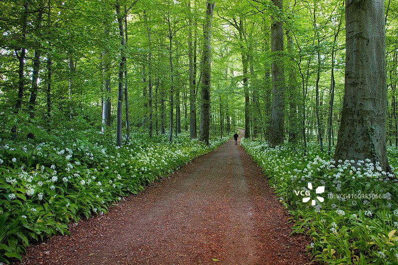 绿色和平图片素材