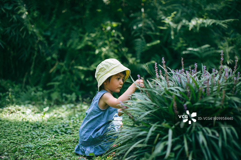 采摘鲜花的可爱混血女童图片素材
