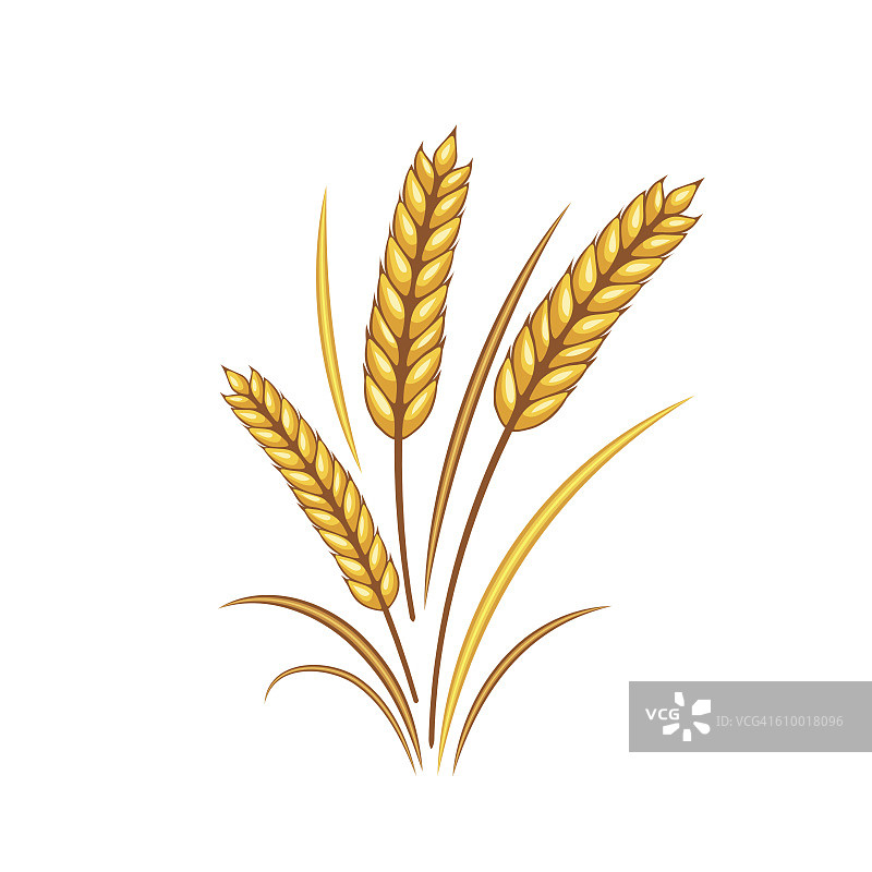 金色麦穗秋季装饰图片素材