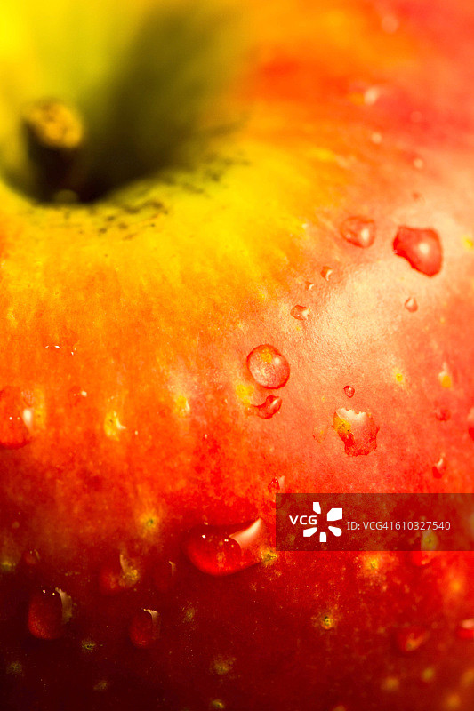 红苹果图片素材