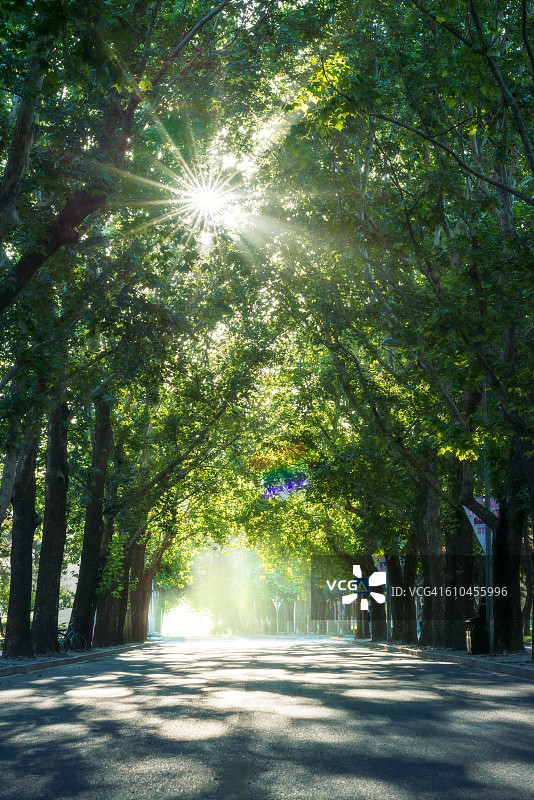 北京夏日清晨的街道图片素材