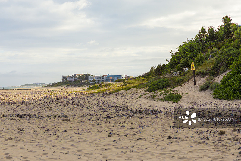 杰贝斯海滩受保护的沙丘植物图片素材