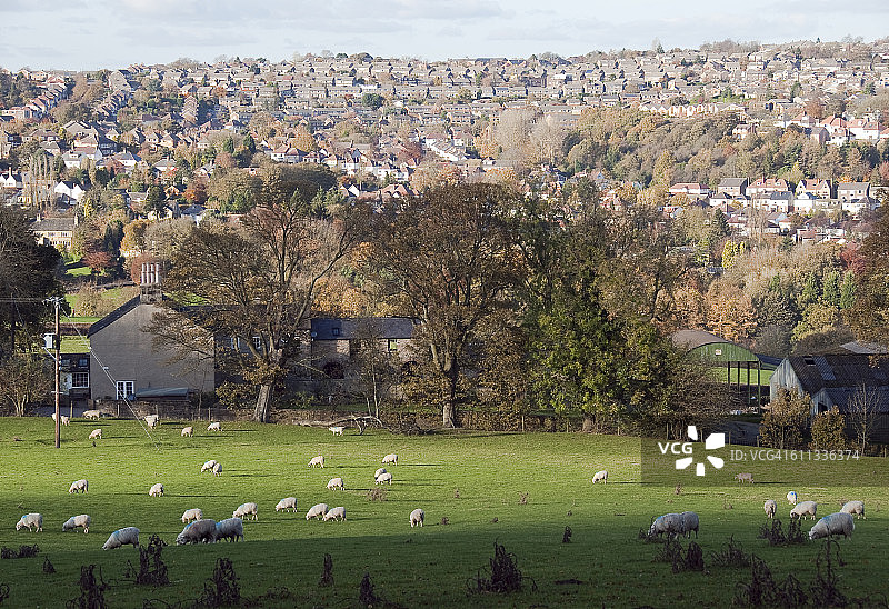 眺望从梅菲尔德谷到哈勒姆图片素材