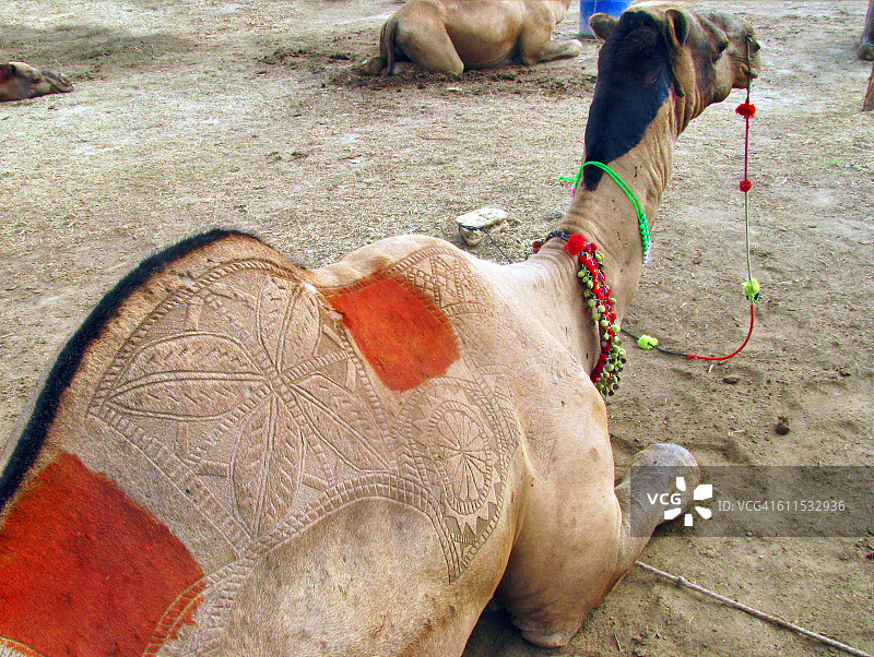 卡拉奇街头图片素材