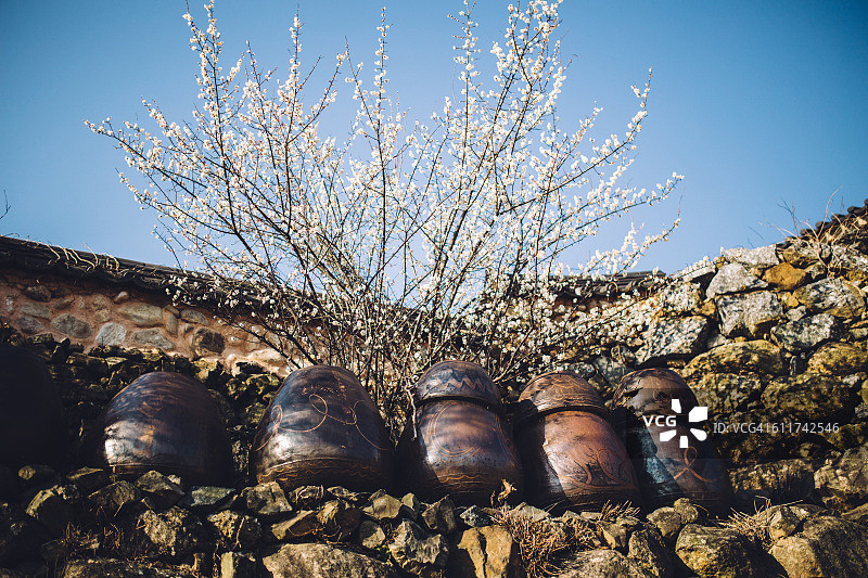 石墙前成排的罐子特写图片素材