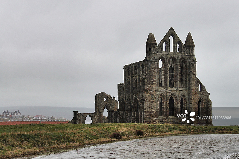 惠特比艾比图片素材