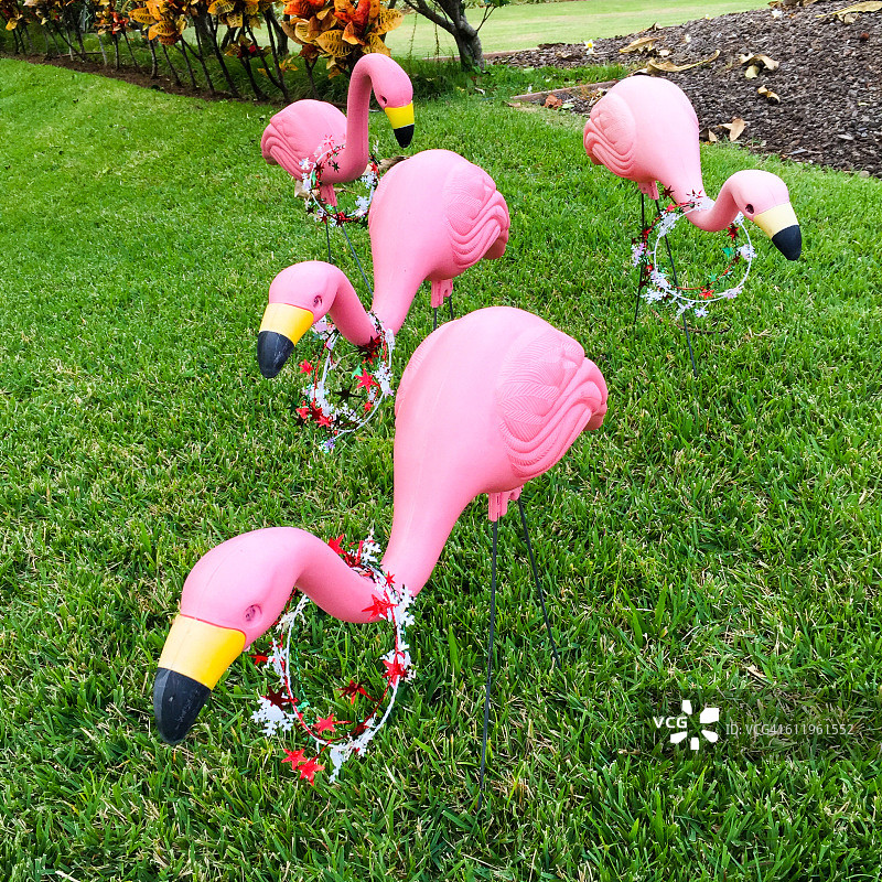 装饰着圣诞节的塑料草坪火烈鸟图片素材