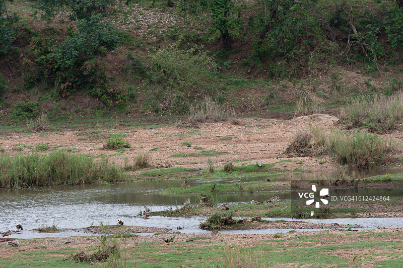荒野风光：河流与飞鸟图片素材
