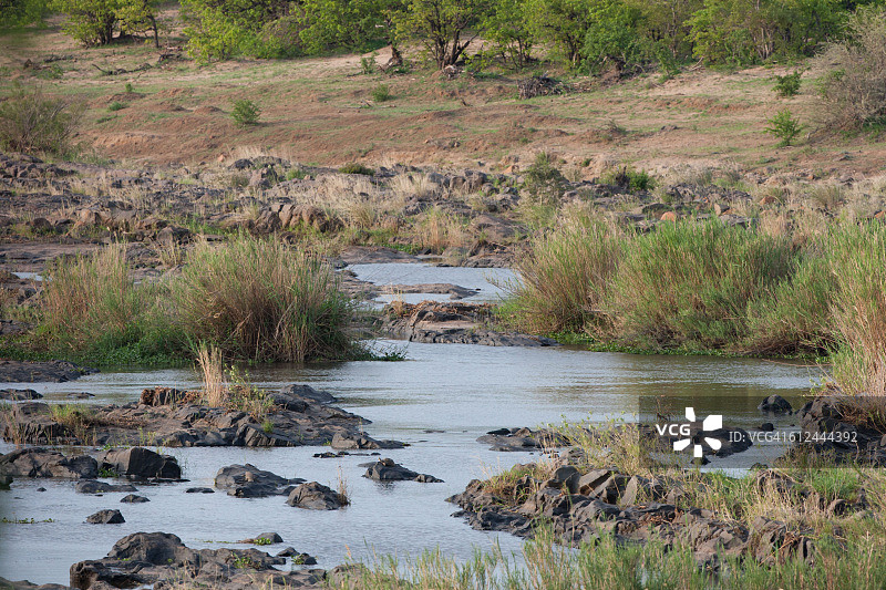 非洲荒野风光图片素材