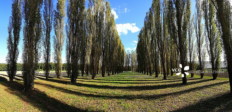 荷兰阿尔梅勒豪特的绿色大教堂图片素材
