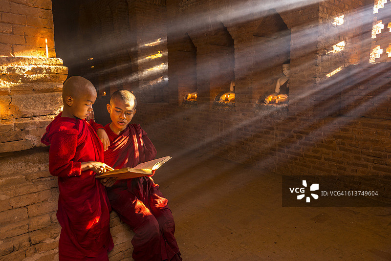 缅甸的年轻佛教僧侣图片素材