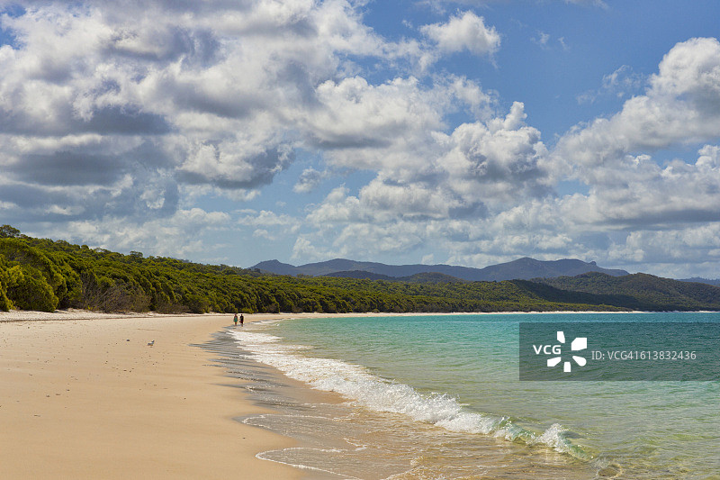 一对夫妇在澳大利亚的圣灵群岛白天堂海滩上散步图片素材