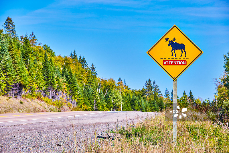 新斯科舍省的驼鹿穿越标志图片素材