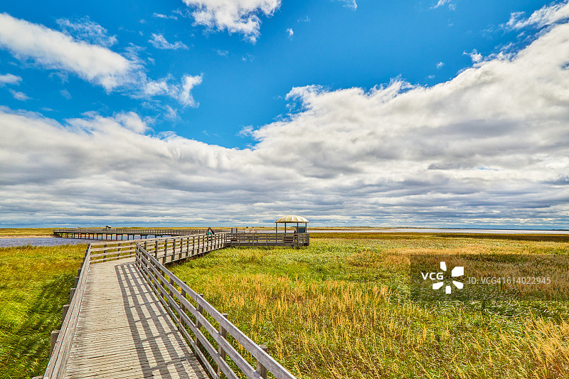 加拿大库奇布瓜克国家公园的木板路图片素材