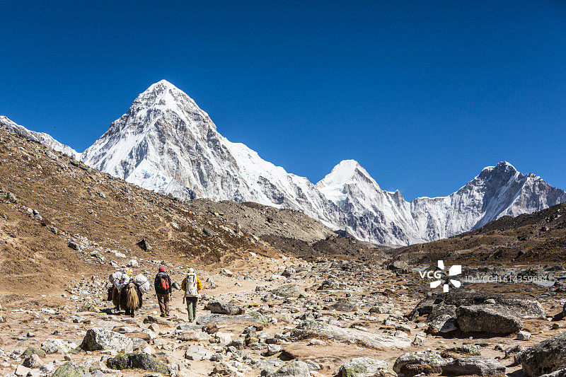 夏尔巴人和他们的牦牛走向尼泊尔珠穆朗玛峰大本营图片素材