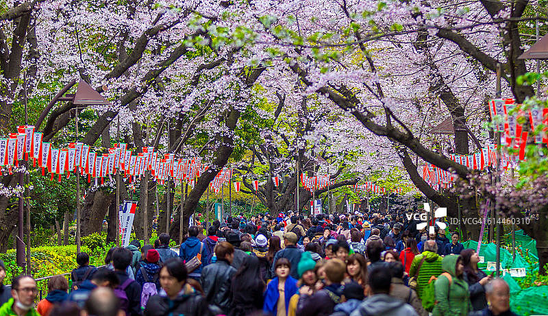 四月上野公园图片素材