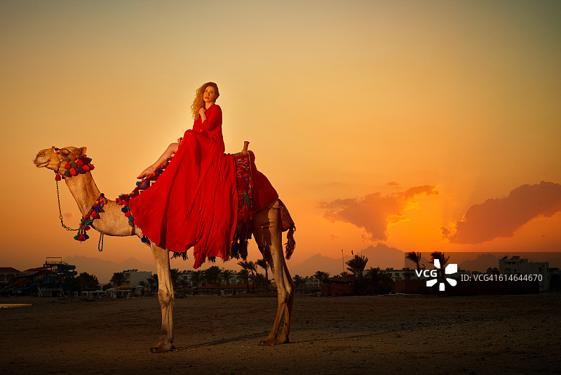 在野生动物园中骑行图片素材