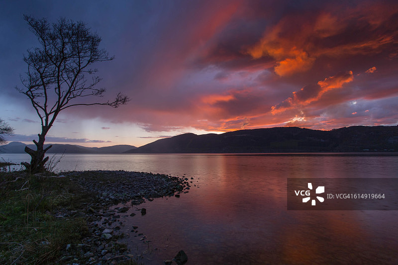 日落时分的孤树图片素材