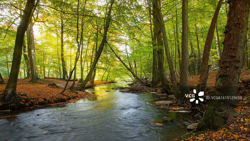 在慵懒的河边图片素材