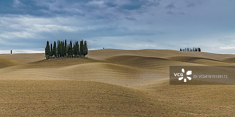 意大利托斯卡纳的柏树岛图片素材
