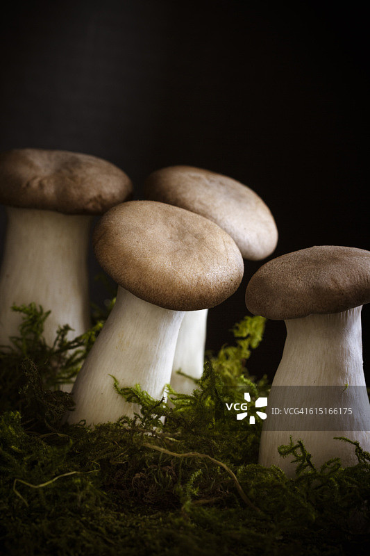 杏鲍菇。低调图片素材