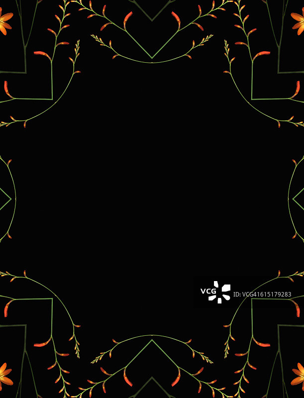 雄黄兰花曼陀罗图片素材