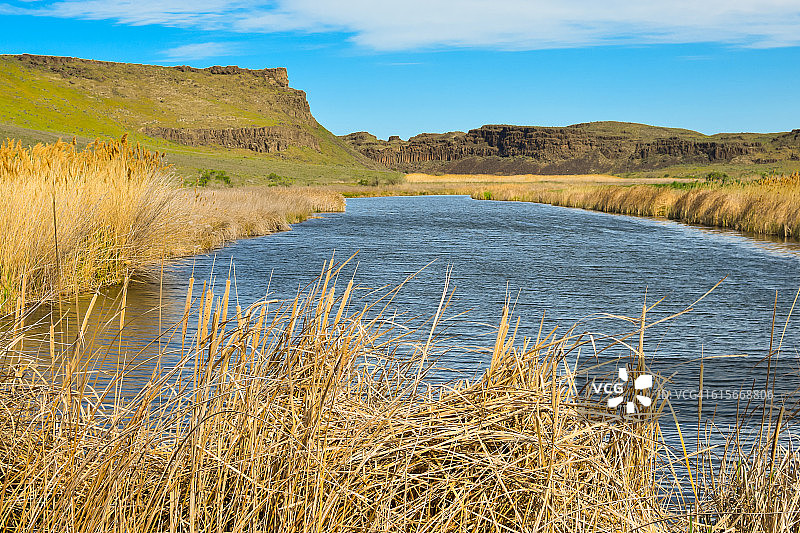 春天的渗水湖图片素材