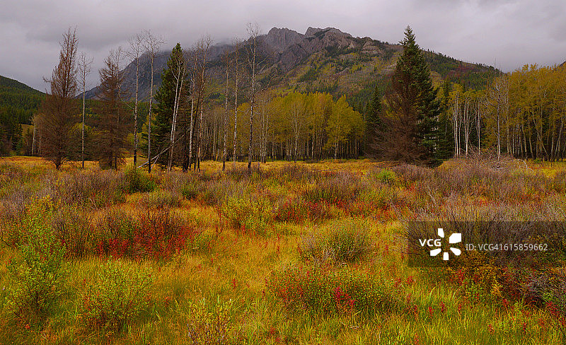 弓河谷公园-加拿大艾伯塔省图片素材
