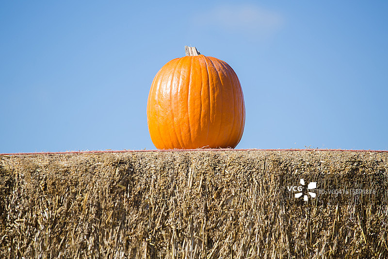 南瓜和干草图片素材