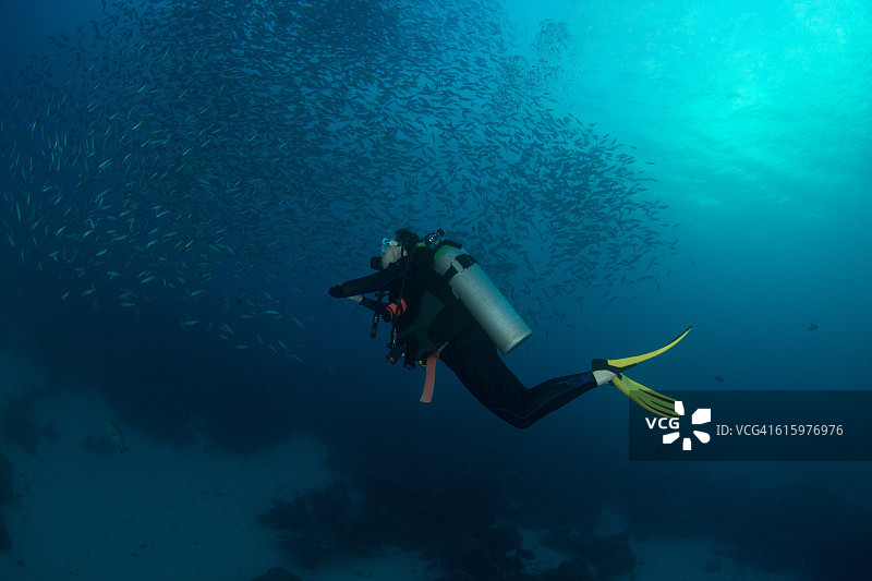 帕劳群岛女潜水员图片素材