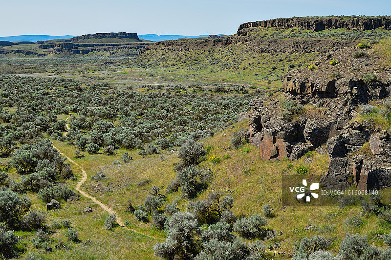 青蛙湖小径图片素材