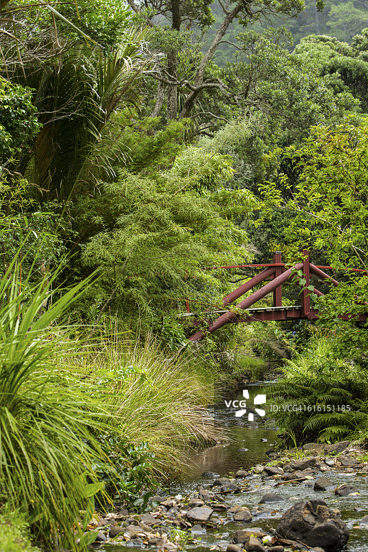 小溪上的桥图片素材